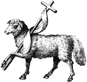 Lamb