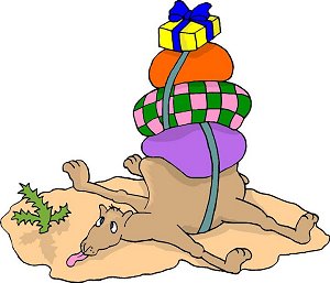 Overloaded camel