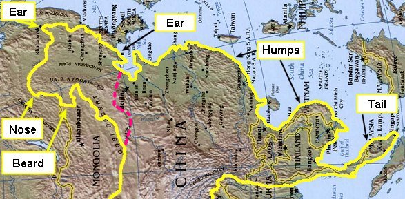 Chinese camel and the Great Wall