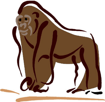 Gorilla