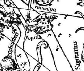 Aquila