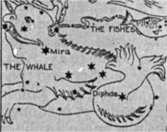 Cetus the Whale