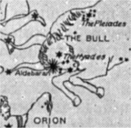 Taurus the Bull