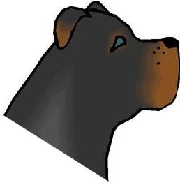 Dog's head