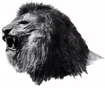Roaring lion
