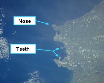 Devil's teeth