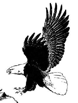 The Eagle is landing