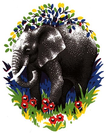 Elephant