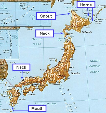 Japan the dragon