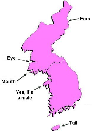 Korea is a rabbit