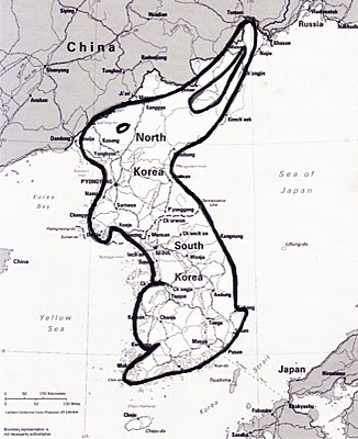 Korea Rabbit
