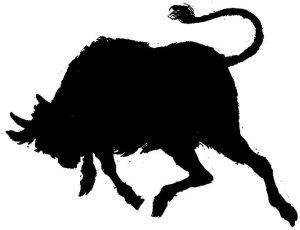 Charging bull