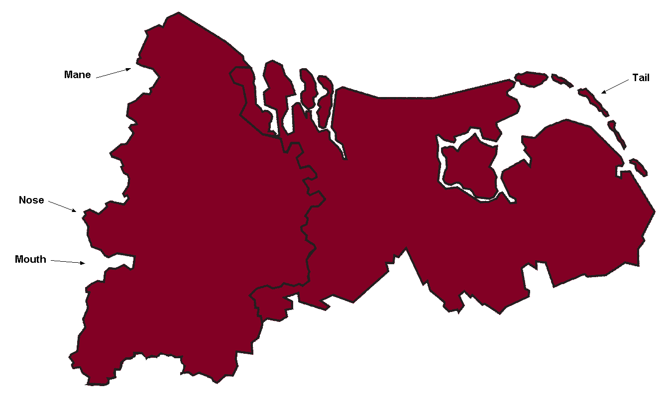 Belgium lion